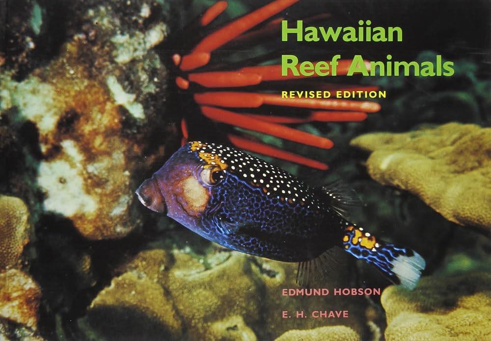 Hawaiian Reef Animals by Edmund Hobson