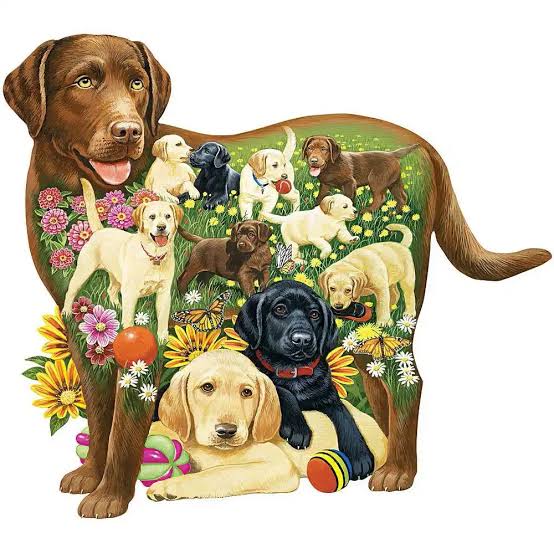 Lovable Labs 750 Bits and Pieces Puzzle