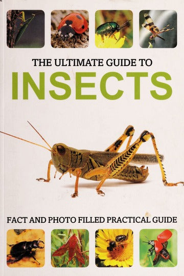 The Ultimate Guide to Insects