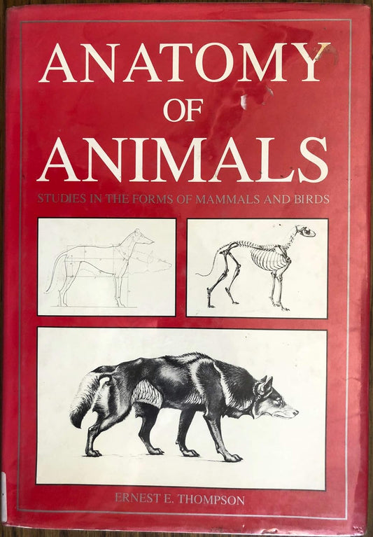 Anatomy of Animals: Studies in the Forms of Mammals and Birds by Ernest E. Thompson