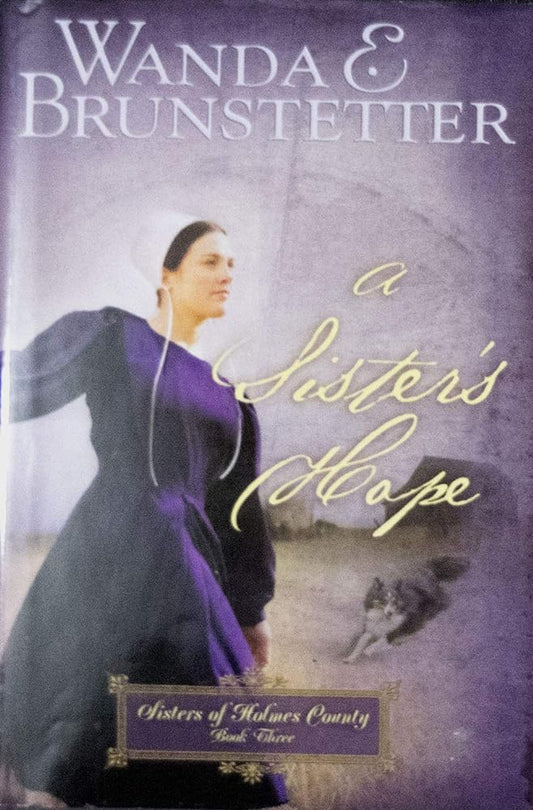 A Sister's Hope - Sisters Of Holmes County, Book Three by Wanda E. Brunstetter