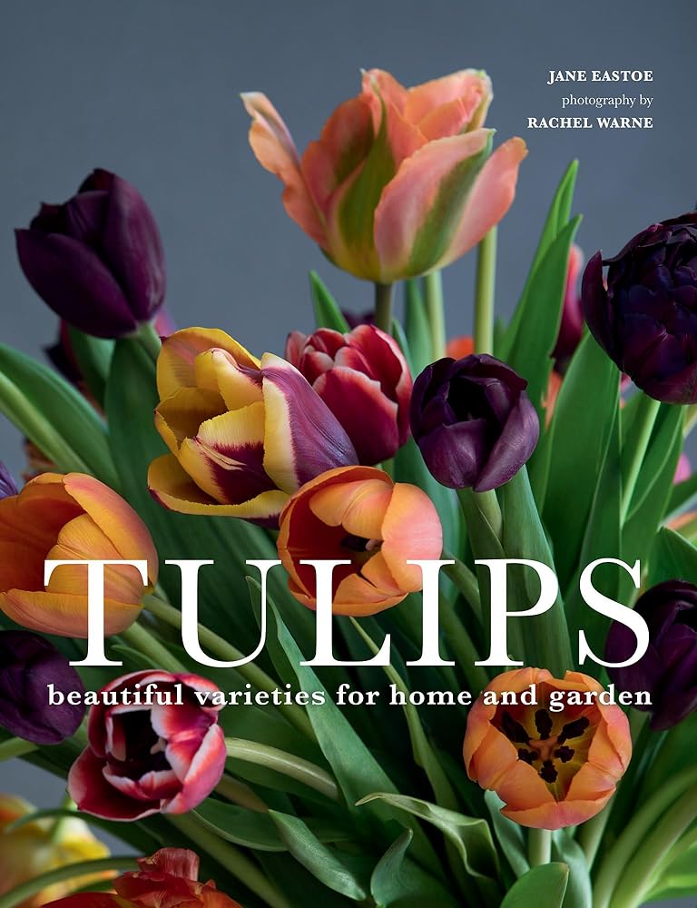 Tulips: Beautiful Varieties for Home and Garden by Jean Eastoe