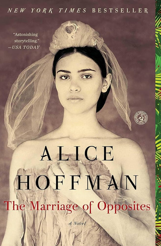 The Marriage of Opposites by Alice Hoffman