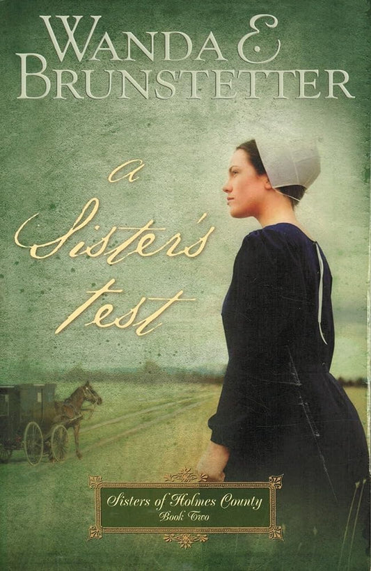 A Sister's Test (Sisters of Holmes County, Book 2) by  Wanda E. Brustetter