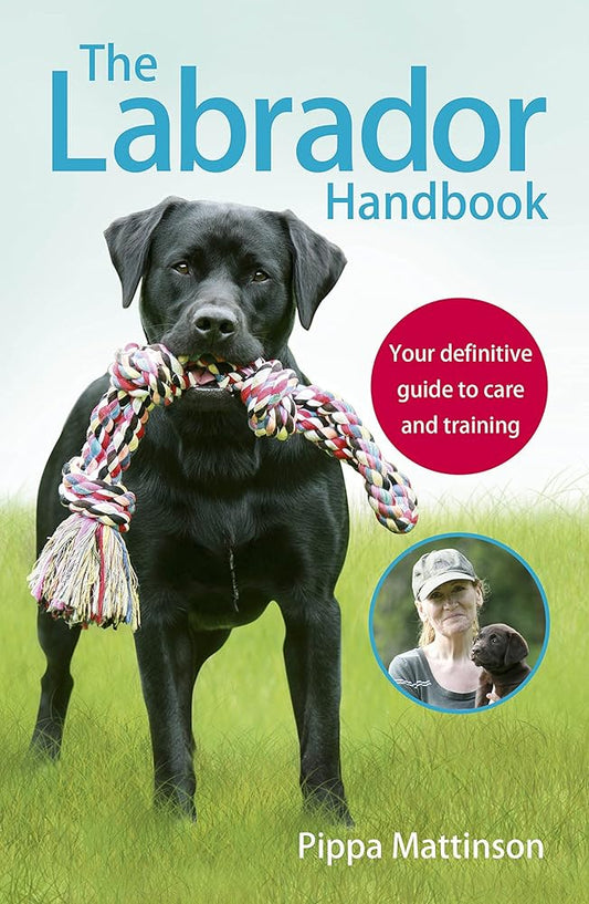 The Labrador Handbook: Your Definitive Guide to Care and Training by Pippa Mattinson