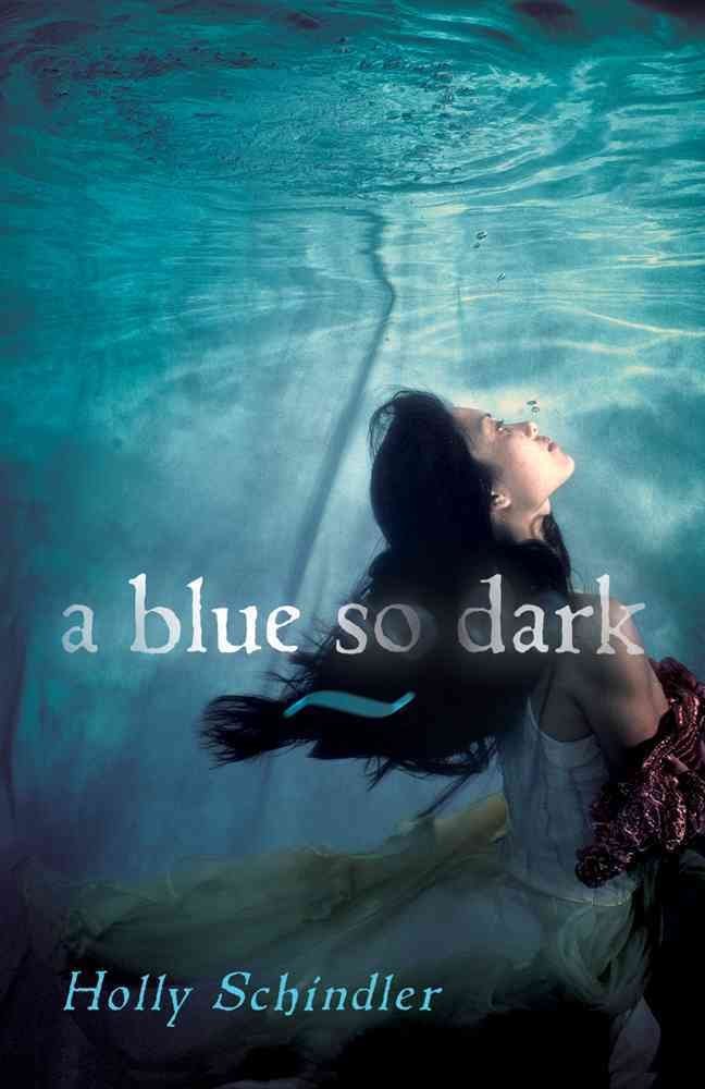A Blue So Dark by Holly Schindler