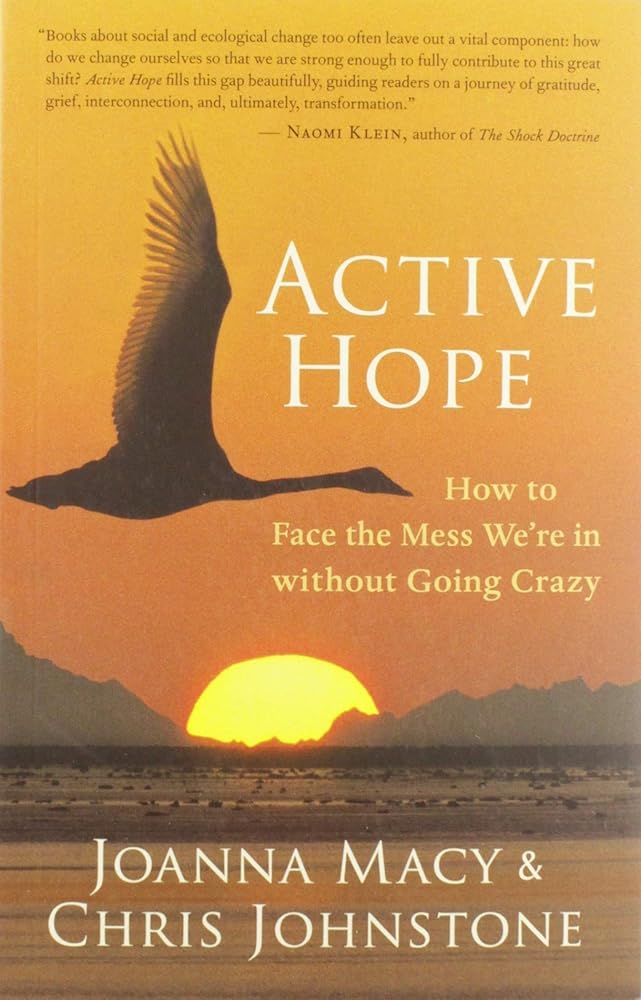 Active Hope: How to Face the Mess We're in without Going Crazy by Joanna Macy