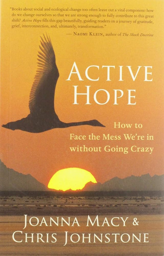 Active Hope: How to Face the Mess We're in without Going Crazy by Joanna Macy