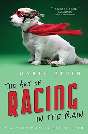 Art Of Racing In The Rain by Garth Stein