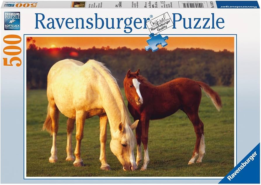 Beautiful Horses 