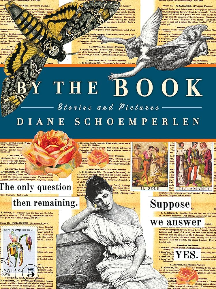 By The Book: Stories and Pictures by Diane Schoemperlen