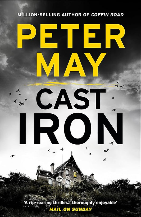 Cast Iron (The Enzo Files) by Peter May
