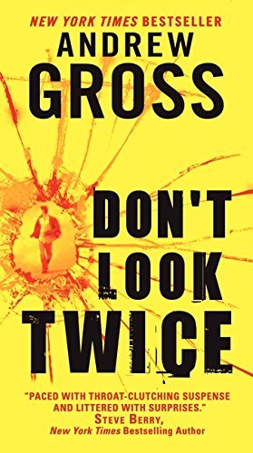 Don't Look Twice (Ty Hauck Series, 2) by Andrew Gross