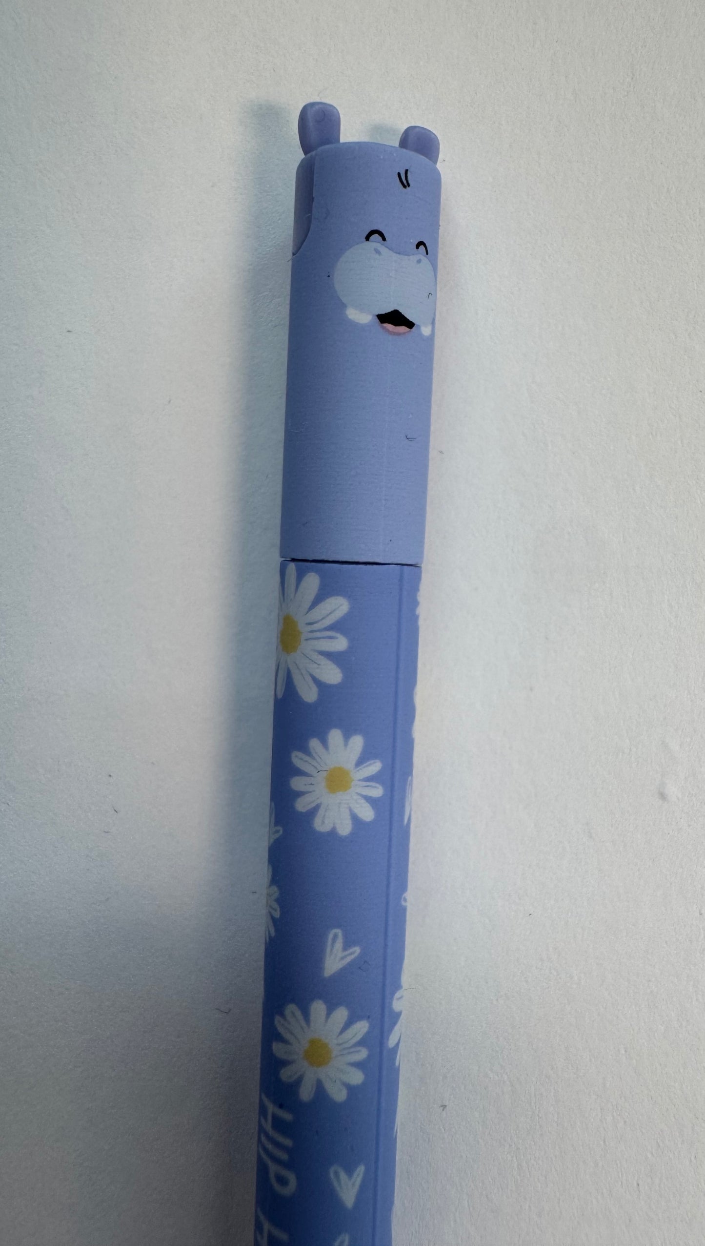 Erasable Pen
