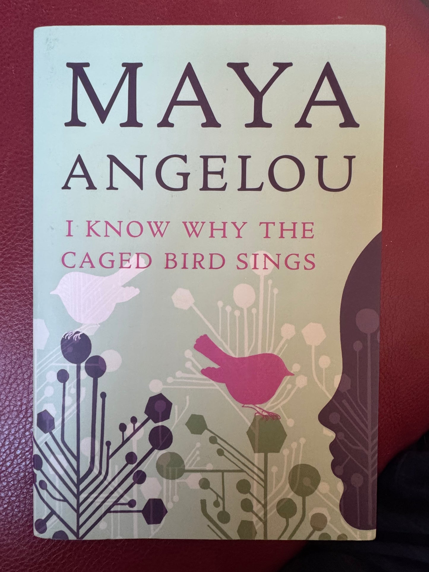 I Know Why the Caged Bird Sings by Maya Angelou