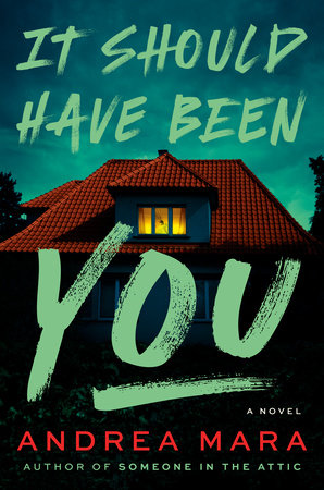 It Should Have Been You by Andrea Mara
