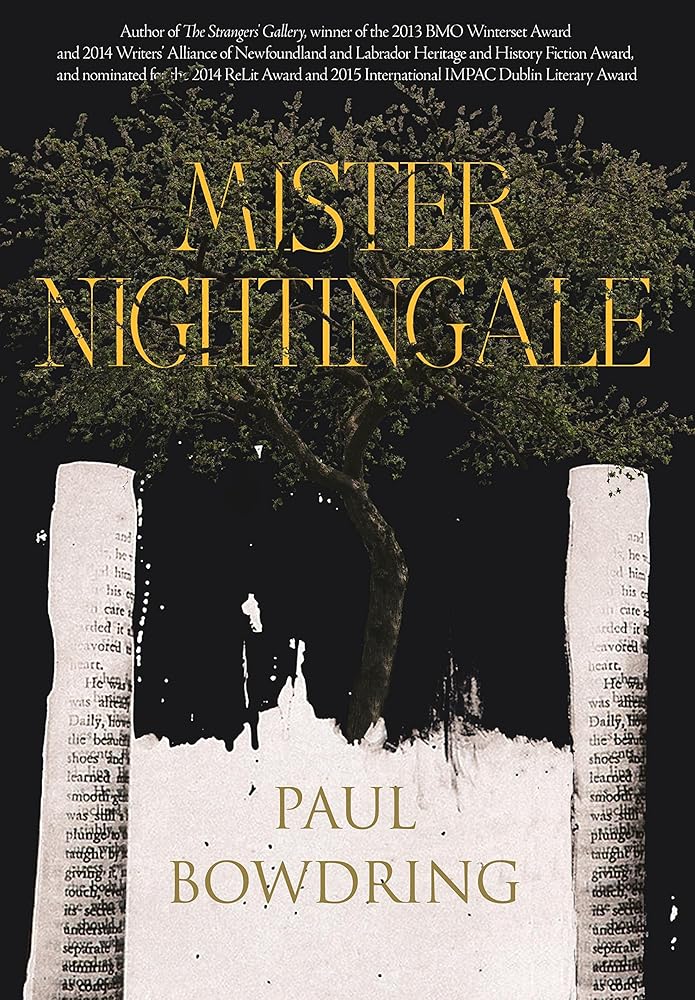 Mister Nightingale by Paul Bowdring