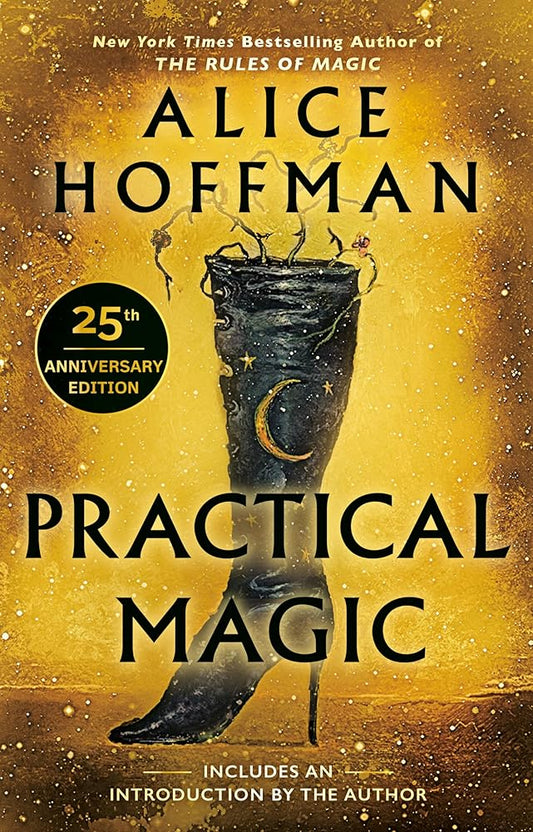 Practical Magic (Practical Magic #1) by Alice Hoffman