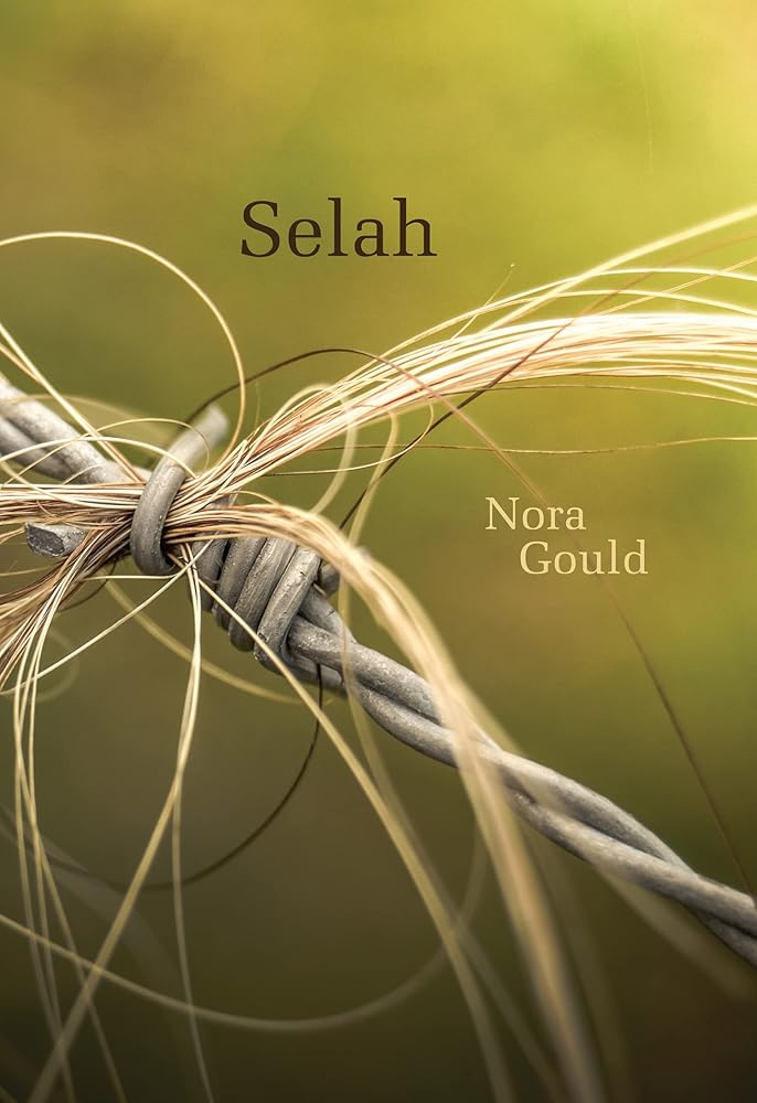 Selah by Nora Gould