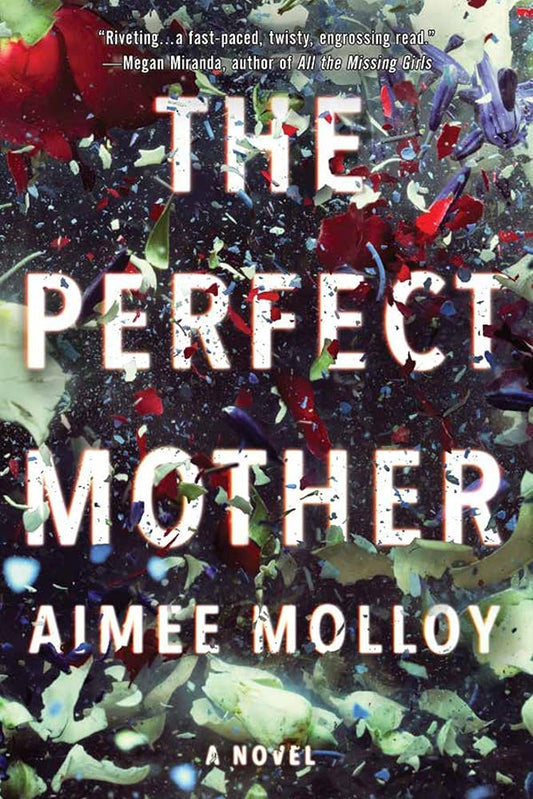 The Perfect Mother by Aimee Molloy