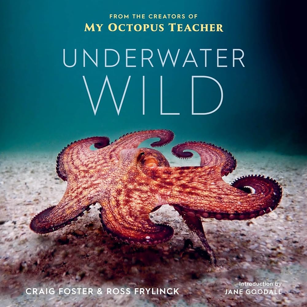 Underwater Wild: My Octopus Teacher's Extraordinary World by Craig Foster & Ross Frylinck
