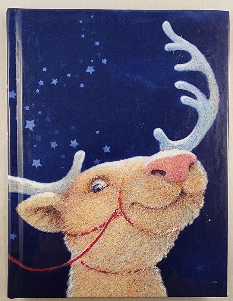 When Santa Fell To Earth by Cornelia Funke